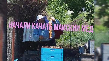 Начали качать майский мед.