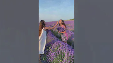 Горная Лаванда #натуральнаякосметика #райвнутри #красота