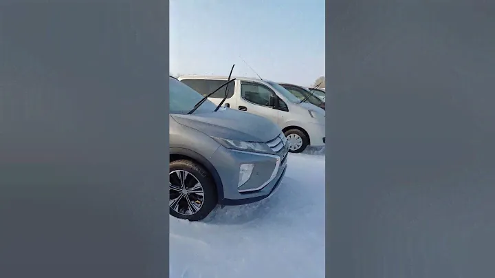 прогулка по авто рынку г. Новосибирск 01.02.2024