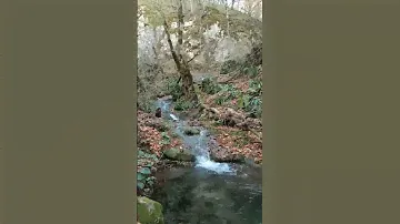 горный источник