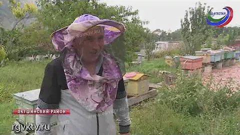 От чего зависит вкус меда?