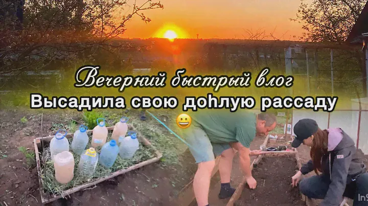 Высадила свою доhлую рассаду😄Что еще можно успеть на даче за короткий срок? Быстрый влог.