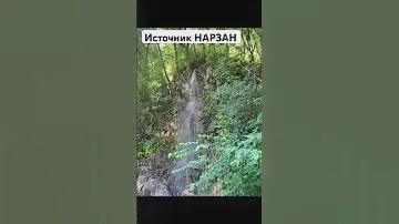 Пью лечебную воду с источника НАРЗАН, очень солёная и отдаёт немного железом, но зато живот не болел