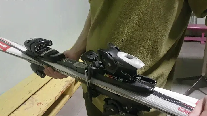 Лыжи Elan Exar Vidia 160