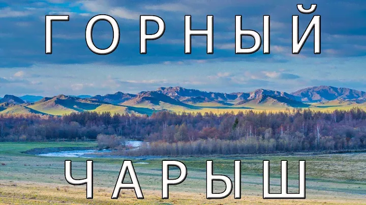 Горный Чарыш. Природные богатства Алтая.