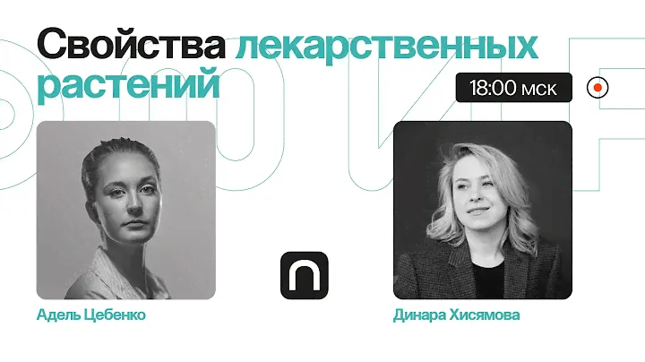 Ромашка успокаивает, а лимонник тонизирует? Как работают лекарственные растения / Динара Хисямова