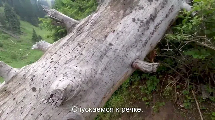 Поход на "Орлиное гнездо", через нижний и верхний водопады Горельника