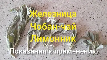 📰Чобан-чай, Железница, Лимонник Крымский- названия одного и того же полезного чая