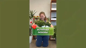 Пишите в комментариях, какое растение ваше самое любимое? 🧐 #юмор #сад #растения #саженцы #росток