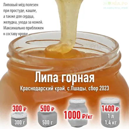 Липа горная