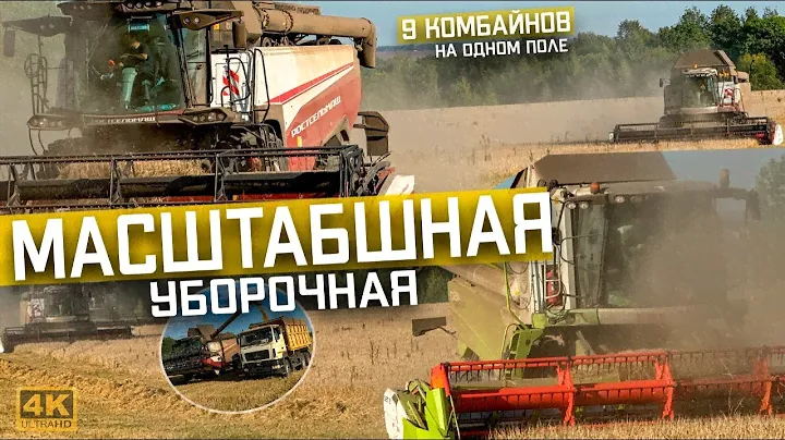 УБОРКА 2024! ВОСЕМЬ комбайнов РСМ 161 и Claas Tucano 450! Уборочная ОЗИМОГО ячменя - МАСШТАБЫ!