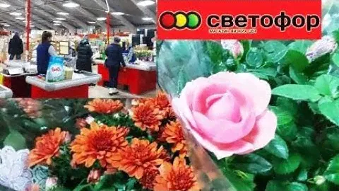 🚦СВЕТОФОР🚦ТАКОГО ЕЩЕ НЕ БЫВАЛО!💥НАКУПИЛА ПОЛНУЮ КОРЗИНУ! ШИКАРНЫЙ АССОРТИМЕНТ🔥НОВИНКИ
