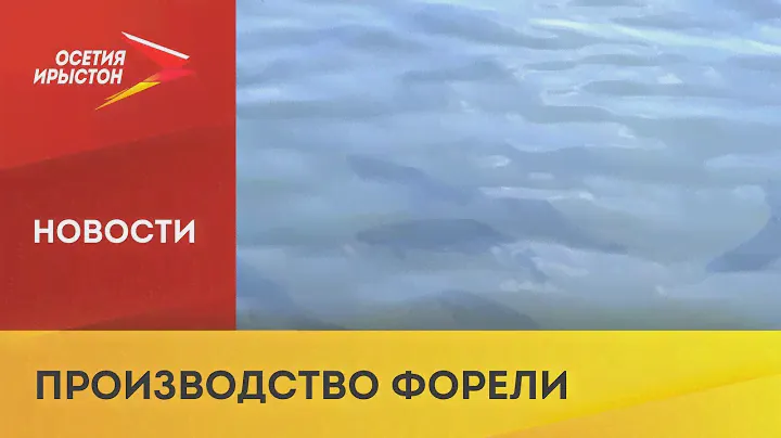 Компания «Остров Аквакультура» выращивает 2000 тонн рыбы в год