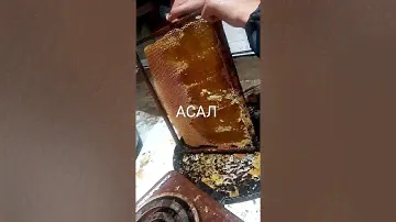 Горная мёд в Таджикистане иё хвалит даже в курани .