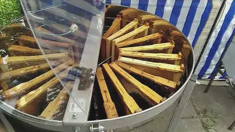 Медогонка Лысонь, радиальная откачка дадановской рамки.