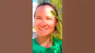Лаванда для чая и ароматерапии.