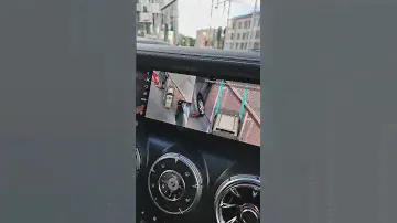 Альпийская дафна. Смотри серию бесплатных видео про альпийские горки по ссылке в комментарии 👇