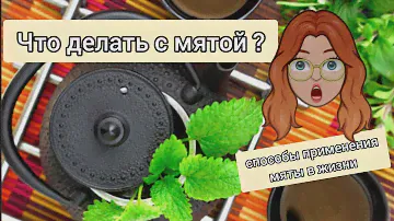 Способы применения МЯТЫ.  Где ещё полезна мята кроме чая?