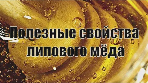 Чем полезен липовый мёд?🌸