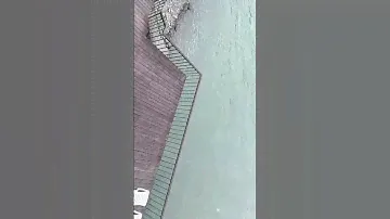 Узнезя горный Алтай 23 год