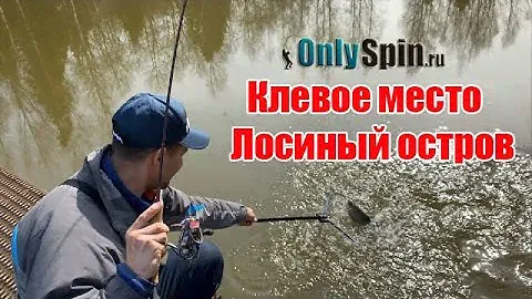 Форельевые безлимиты. Клевое место. Лосиный остров. #OnlySpin