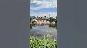 Посёлок Горный, Саратовская область, Краснопартизанский район, локация,,Болота,, #природа #жизнь