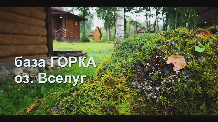 База "ГОРКА", озеро Вселуг - как ДИВЕР за ...АМИ ходил! Как так случилось, что это получилось?