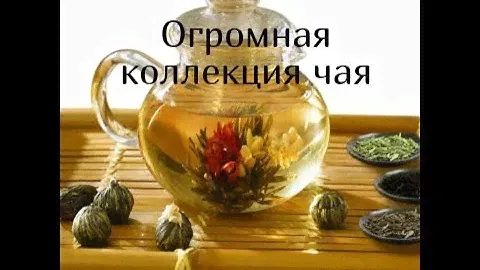 Огромная коллекция чай. Что люблю. Где храним. Организация.