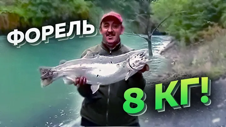 Рыбалка | Радужная форель. Вес - 7940гр