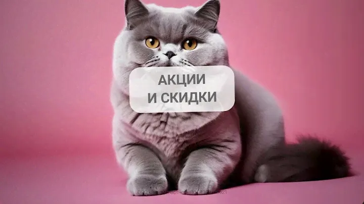 ZOOQI.BY: интернет-магазин зоотоваров с широким выбором товаров и ветеринарных кормов