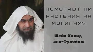 Помогают ли растения на могиле умершему? — Шейх Халид аль-Фулейдж