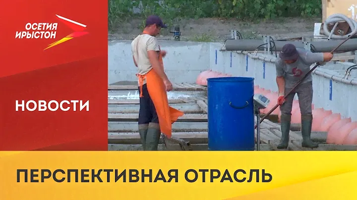 В Северной Осетии активно развивают рыбоводство
