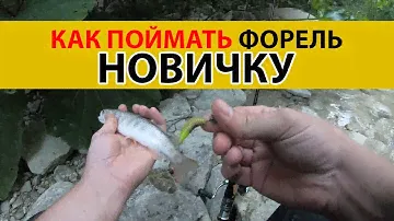 Как поймать форель новичку на силикон.  форелевая рыбалка
