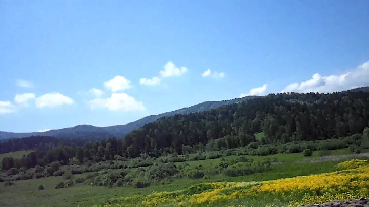 Дорога Горно-Алтайск - Урлу-Аспак июнь 2011