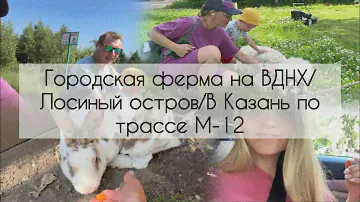 Городская ферма на ВДНХ/Велопрогулка в Лосиный остров/Уехала одна с ребенком в Казань по м-12