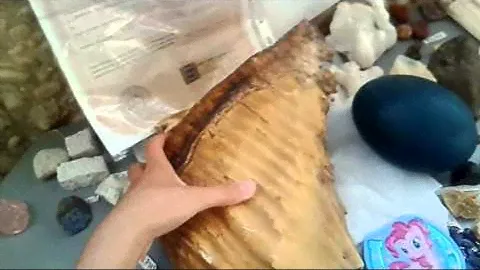 МОЯ КОЛЛЕКЦИЯ МИНЕРАЛОВ И ГОРНЫХ ПОРОД