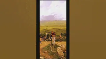 Отдых в Адыгее/Туристическая база отдыха "Активация"