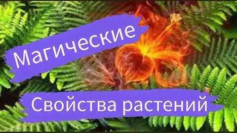 Магия трав | Ивана Купала | Солнцестояние