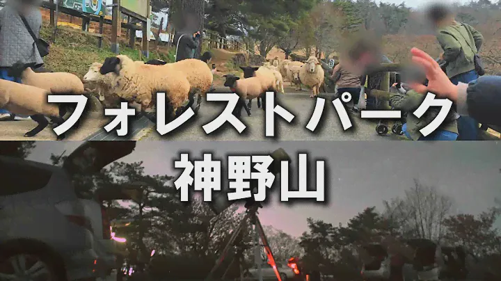 Япония, место звездного неба "ForestPark Kouno.Mt", походы, наблюдение за звездами, астрофотография