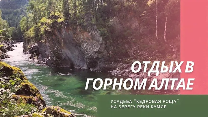 Отдых в Горном Алтае.  Усадьба Кедровая роща.