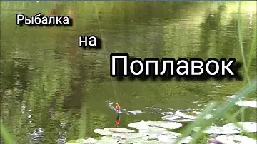 Рыбалка на ПОПЛАВОК .Ловим на Спиннинг и Поплавочную удочку.