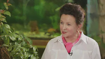 Интервью с главным врачом санатория «Горный лён»