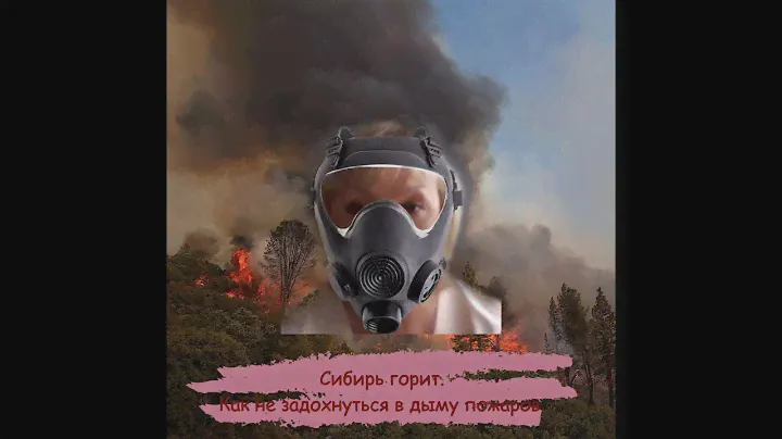 Как не задохнуться в сибирских пожарах. Сибирина в помощь.