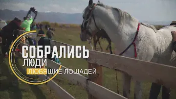 Скачки лошадей на Алтае осенью 2018