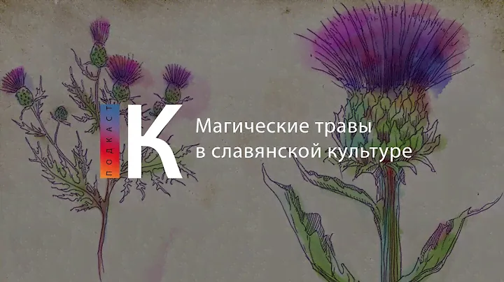 Подкаст. Магические травы в славянской культуре
