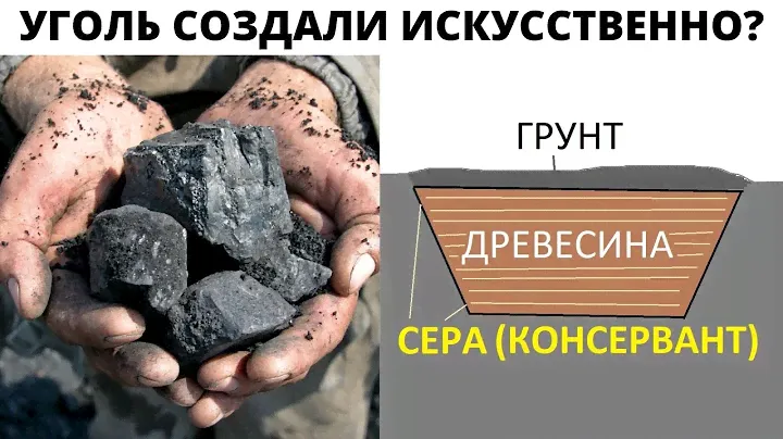 Откуда каменный уголь на самом деле ?