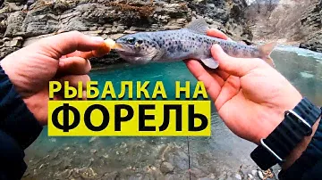 Рыбалка на форель. Ловля форели на горной реке