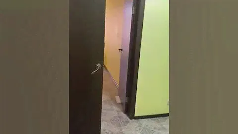 Сдам квартиру посуточно. с.Дивноморское