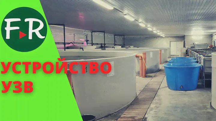 В УЗВ всегда весна! Система очистки и аэрации воды. Как использовать подменную воду на  АкваФерме?