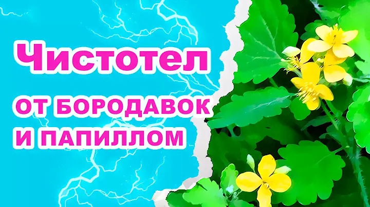 ЧИСТОТЕЛ / Средство от бородавок, папиллом и прыщей